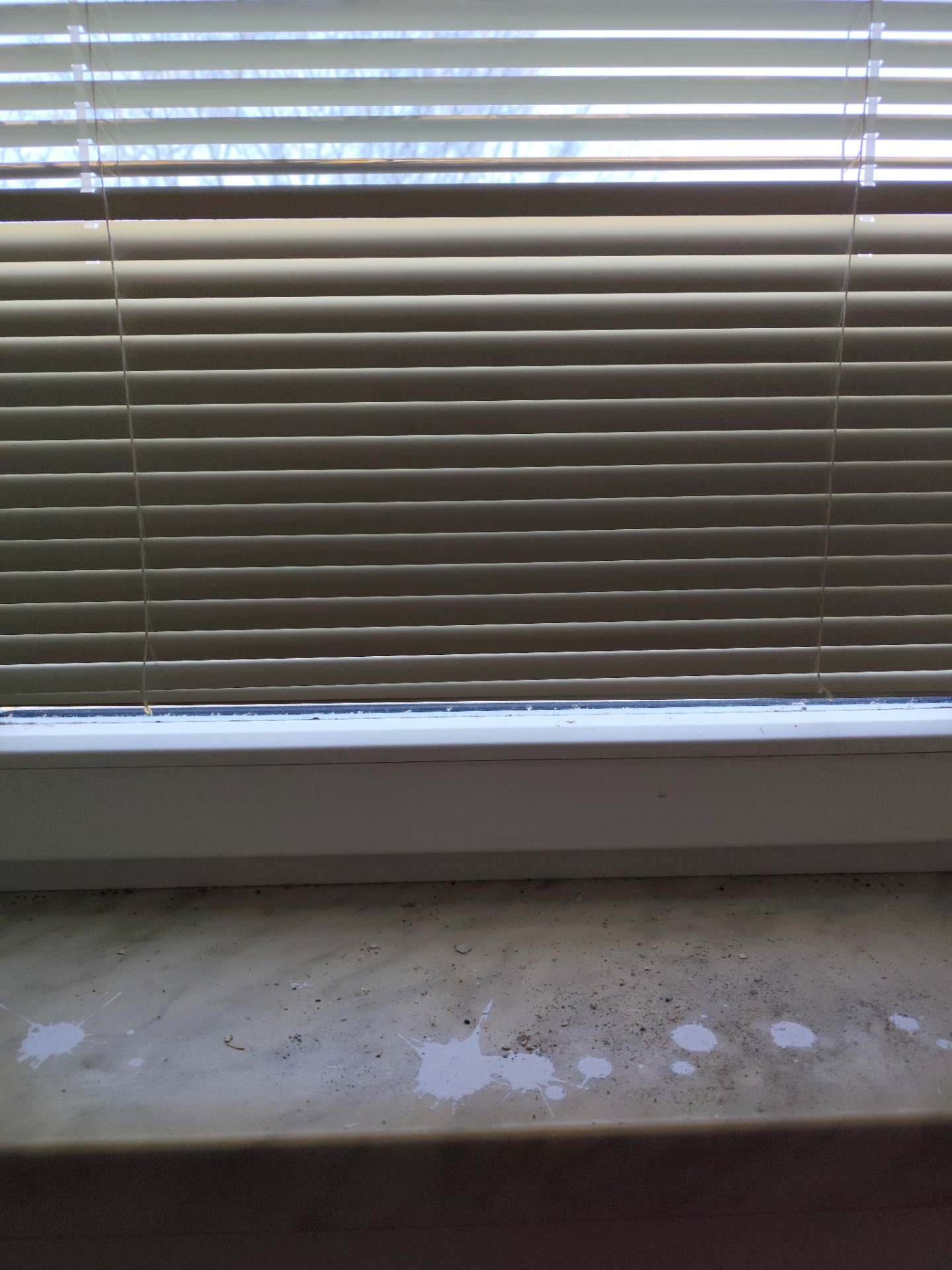 Čištění žaluzií Ostrava - stav před úklidem